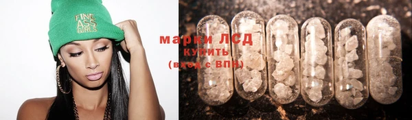 стафф Заволжье