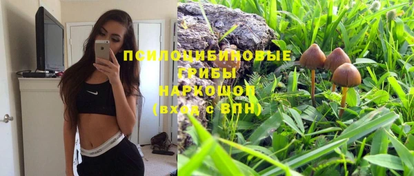 стафф Заволжье